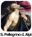 Pellegrino delle Alpi